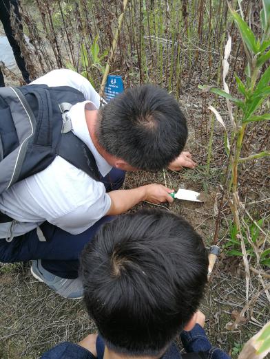 H动漫