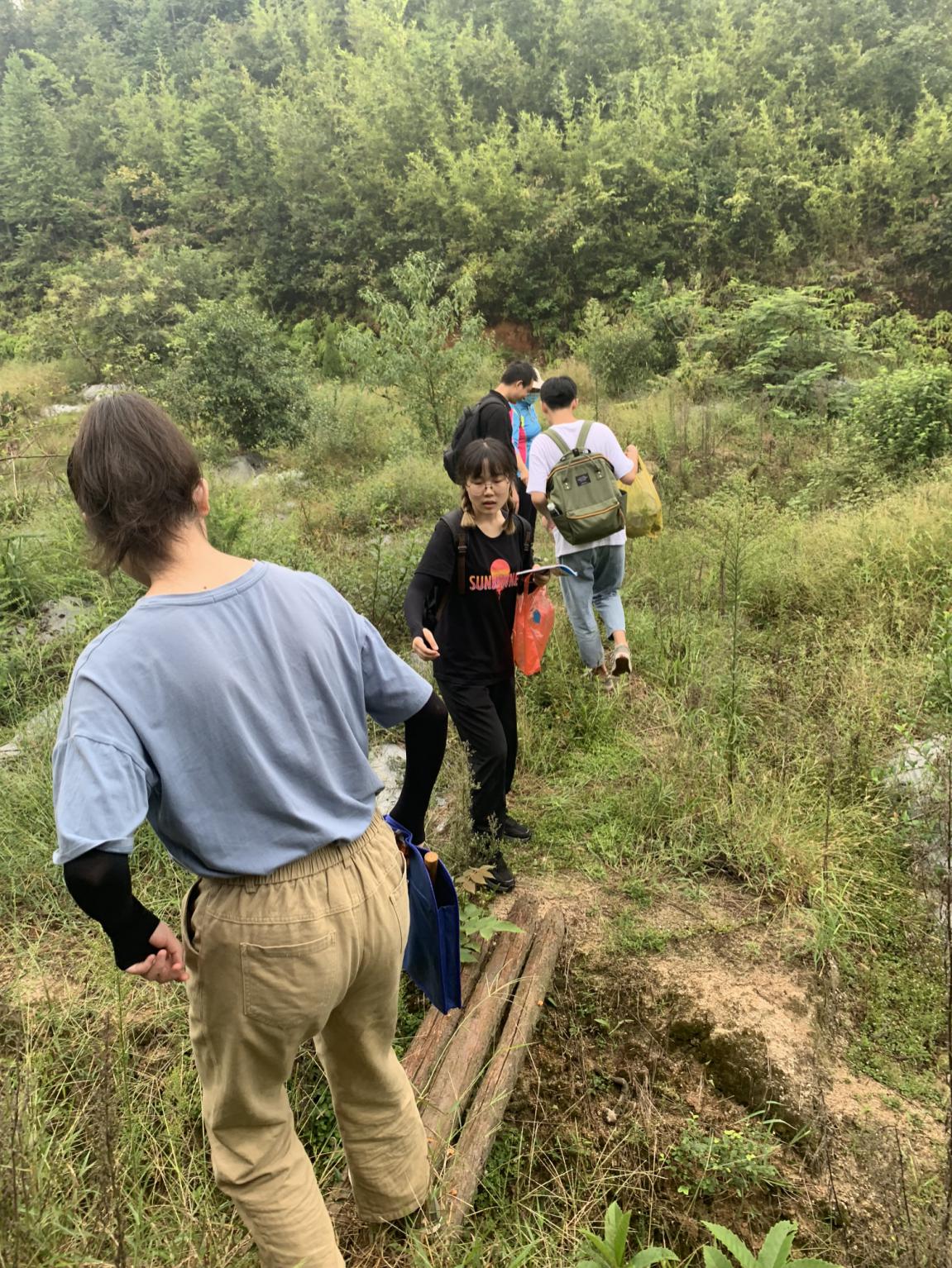 H动漫