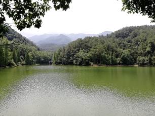 H动漫