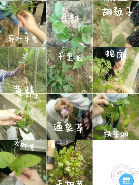 H动漫